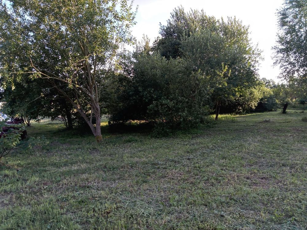 Działka rod Białogard. Zdjęcie 5