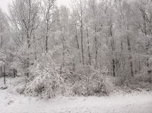 Mieszkanie 4-pokojowe Rybnik Niedobczyce. Zdjęcie 1