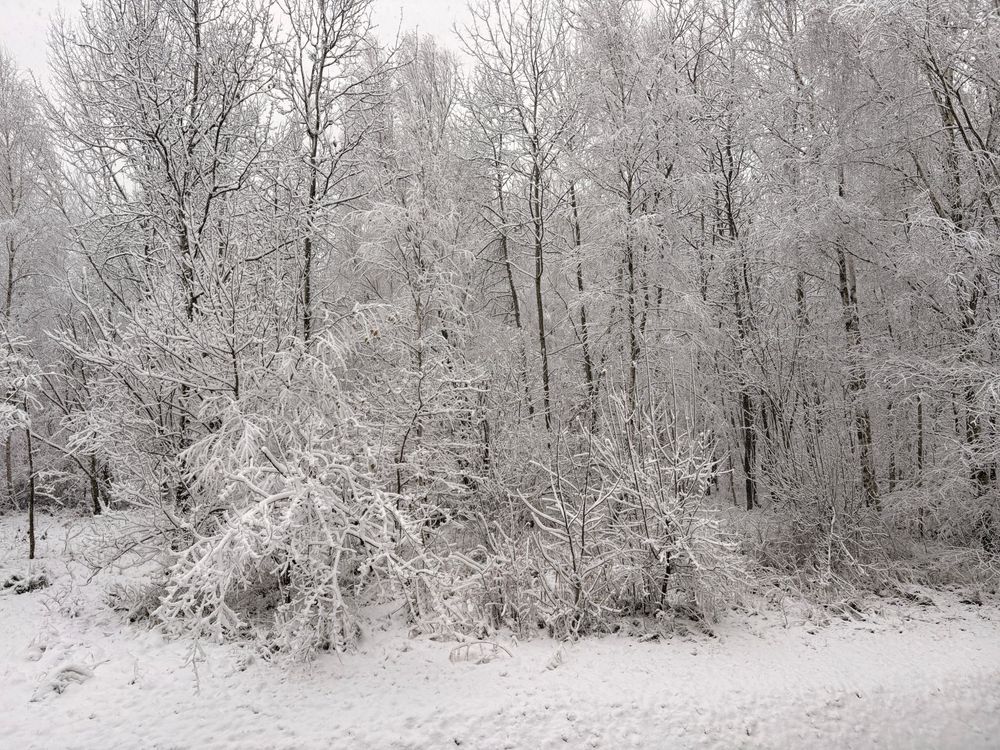 Mieszkanie 4-pokojowe Rybnik Niedobczyce. Zdjęcie 2