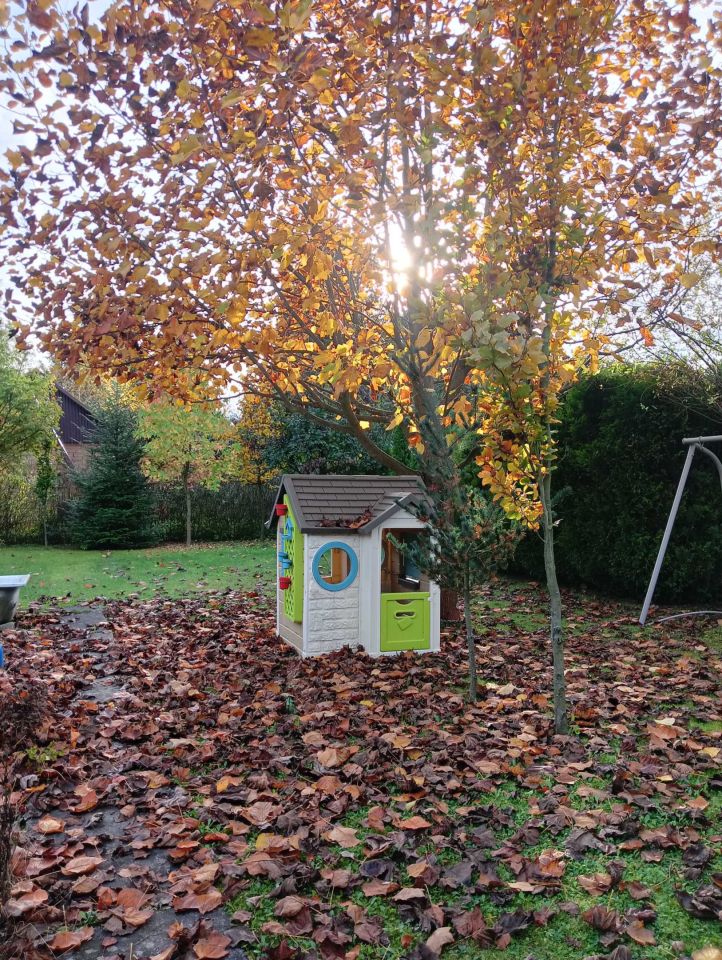 Działka rod Zabierzów. Zdjęcie 2