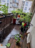 Mieszkanie 3-pokojowe Kraków Podgórze Duchackie, ul. Walerego Sławka. Zdjęcie 4