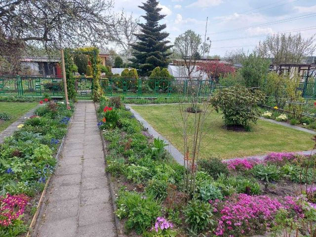 Działka rod Tychy, ul. Oświęcimska. Zdjęcie 1