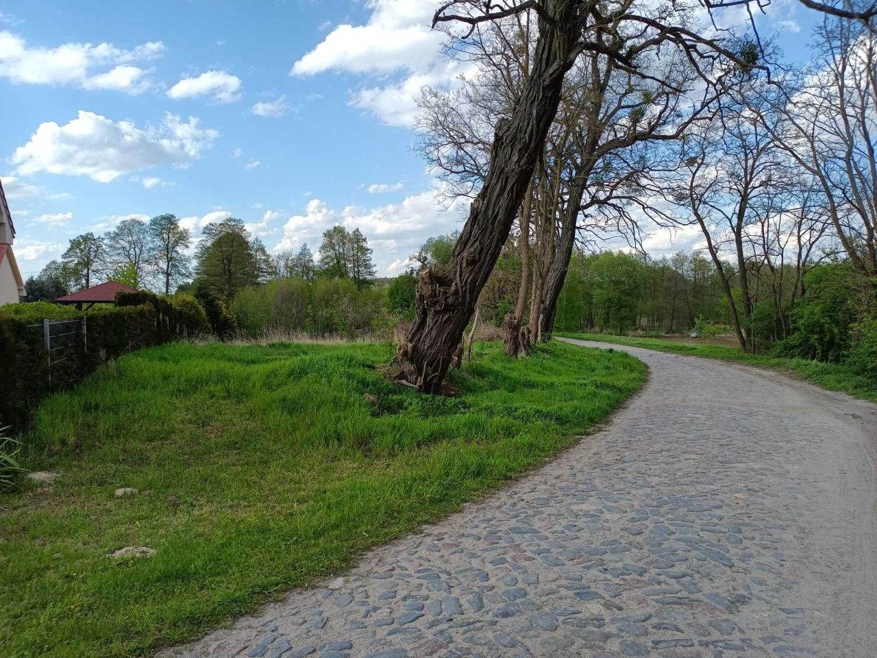 Działka budowlana Dargomyśl. Zdjęcie 4