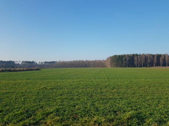 Działka budowlana Terespotockie. Zdjęcie 1