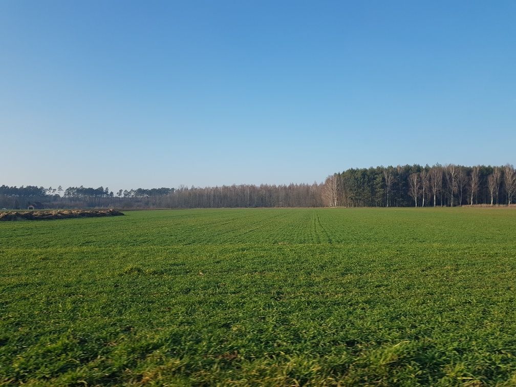 Działka budowlana Terespotockie