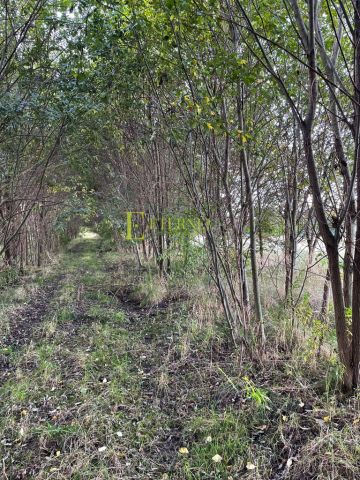 Działka budowlana Kraków Wadów, ul. Za Ogrodem. Zdjęcie 5