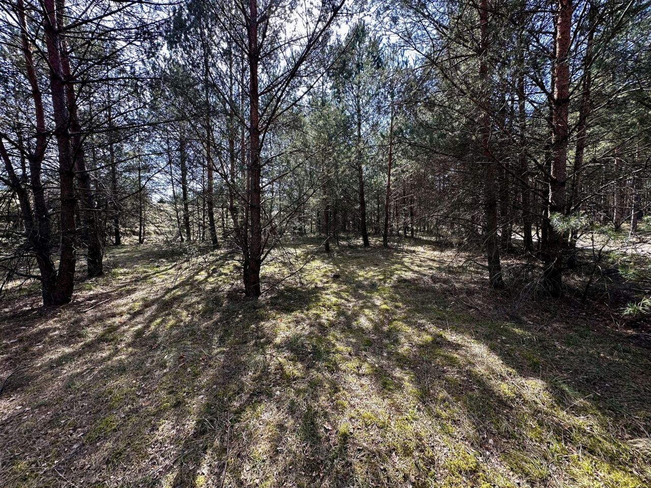 Działka budowlana Ocypel, ul. Wczasowa. Zdjęcie 8