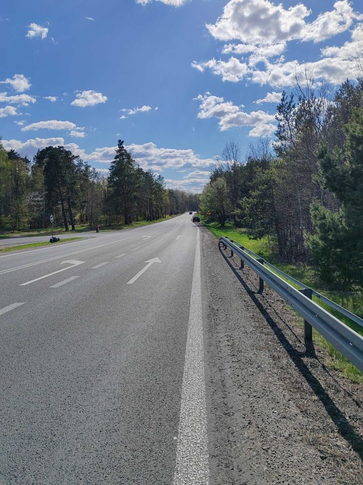 Działka leśna Mniszek. Zdjęcie 5