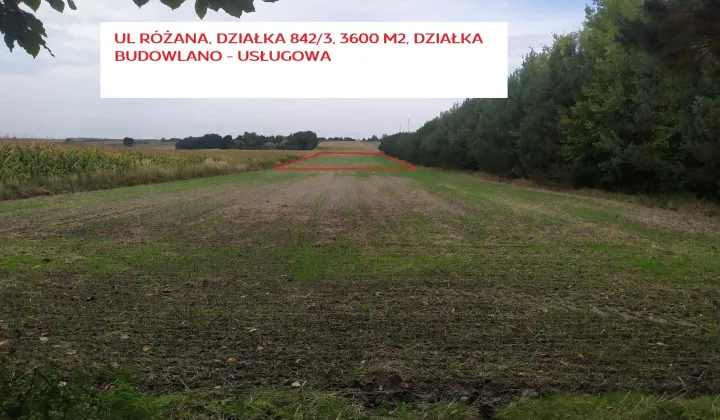 Działka budowlana Urzędów, ul. Różana