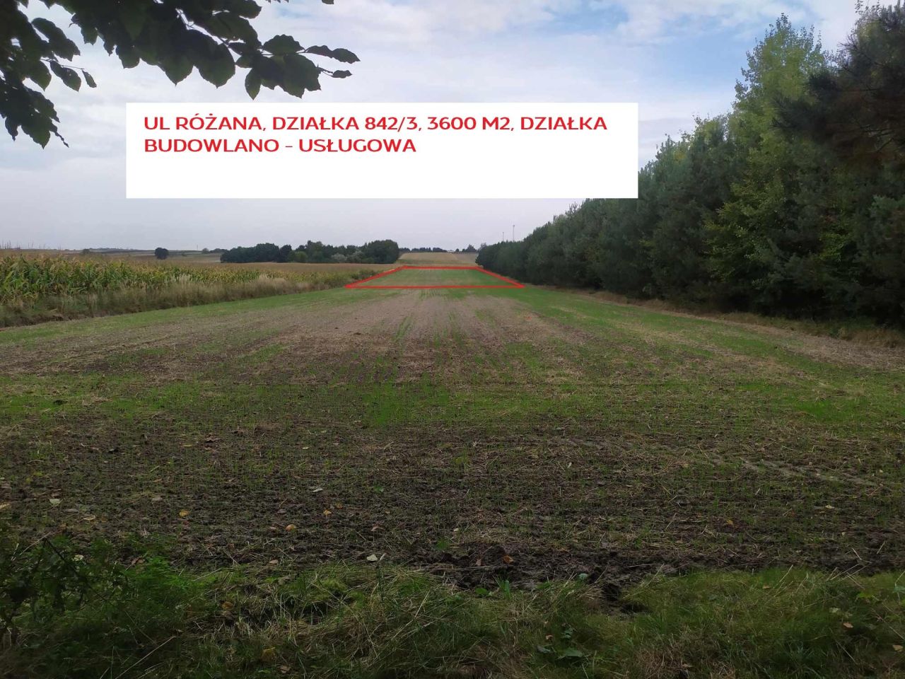 Działka budowlana Urzędów, ul. Różana. Zdjęcie 1