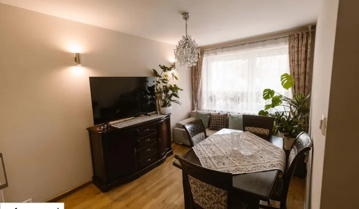 Mieszkanie 2-pokojowe Nowy Sącz, ul. Batalionów Chłopskich
