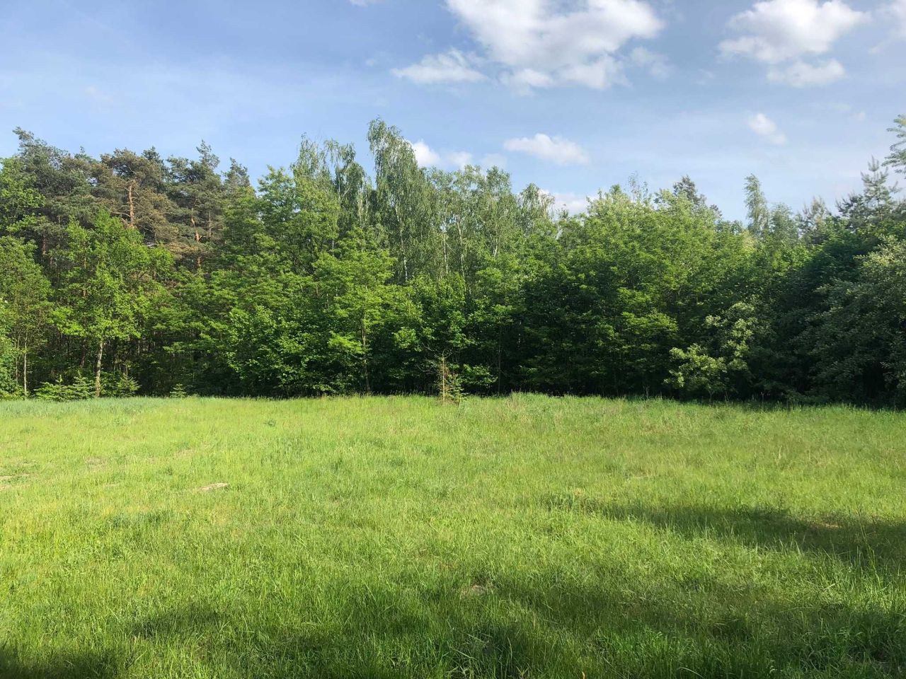 Działka Rożenno. Zdjęcie 5