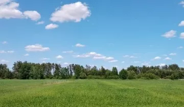 Działka na sprzedaż bez pośredników          
          
            Krubki-Górki - Widok 6