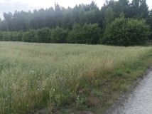 Działka rolna Szczawin Szczawin-Kolonia. Zdjęcie 2