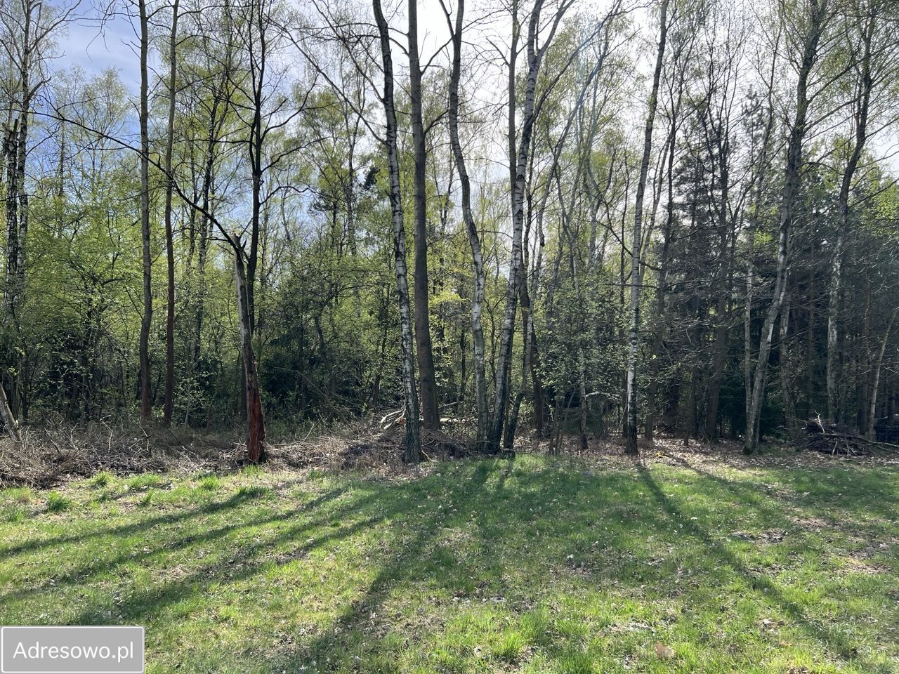 dom wolnostojący Janowice. Zdjęcie 20