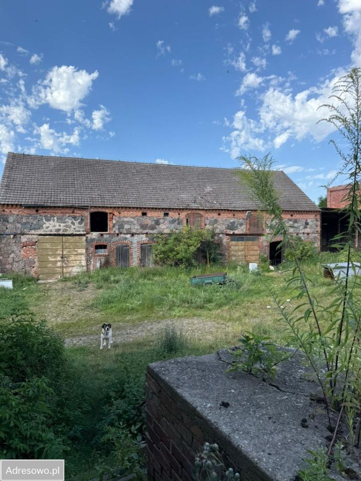 dom wolnostojący, 5 pokoi Dolsko. Zdjęcie 9