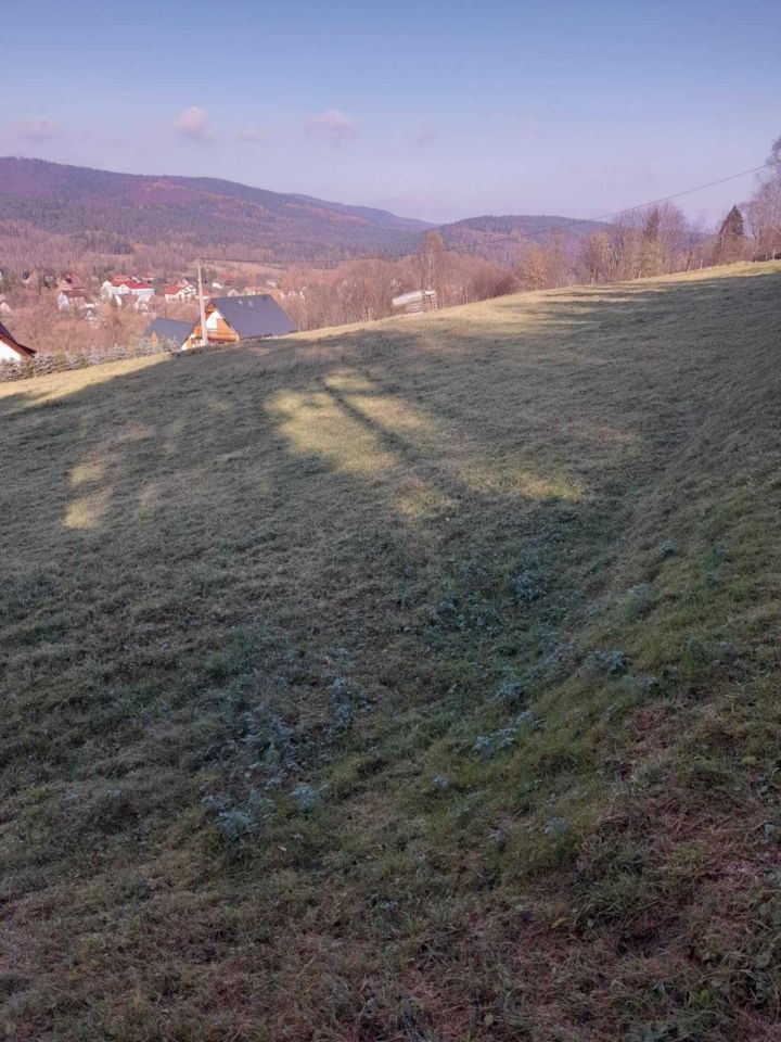 Działka budowlana Las. Zdjęcie 2