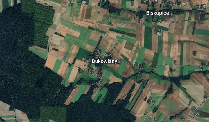 Działka leśna Bukowiany