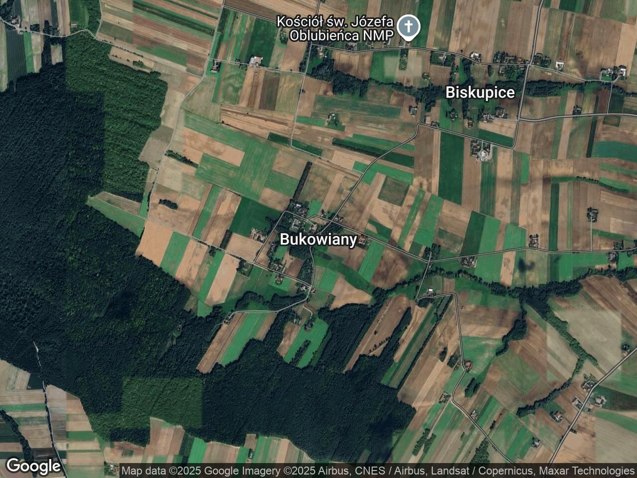 Działka leśna Bukowiany