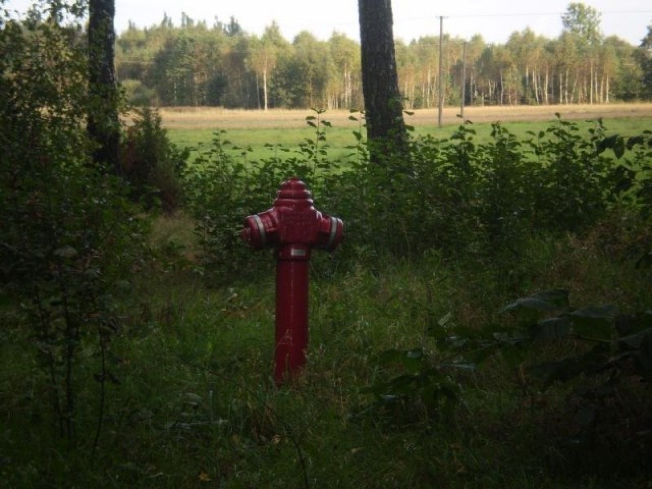 Działka budowlana Papiernia. Zdjęcie 3