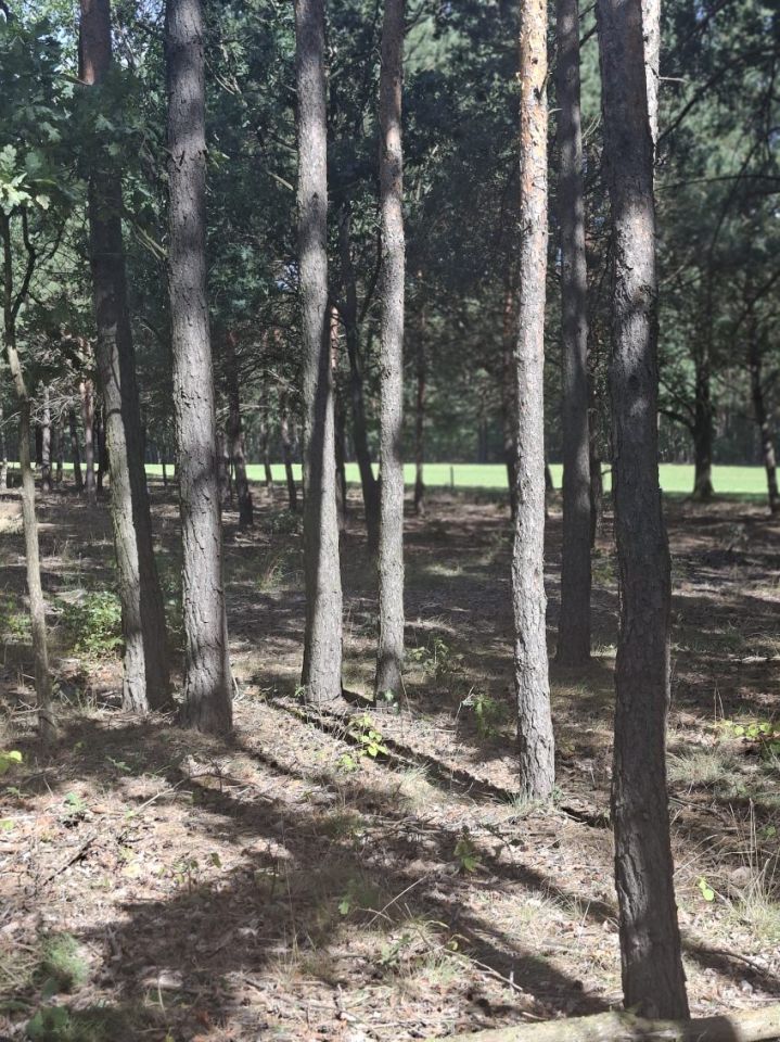 Działka budowlana Marynino. Zdjęcie 18