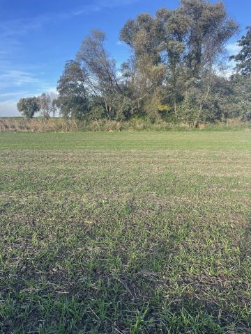 Działka rekreacyjna Niwnik. Zdjęcie 1