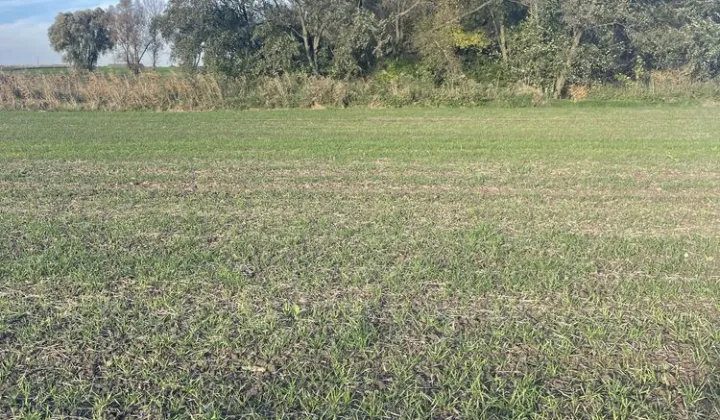 Działka rekreacyjna Niwnik