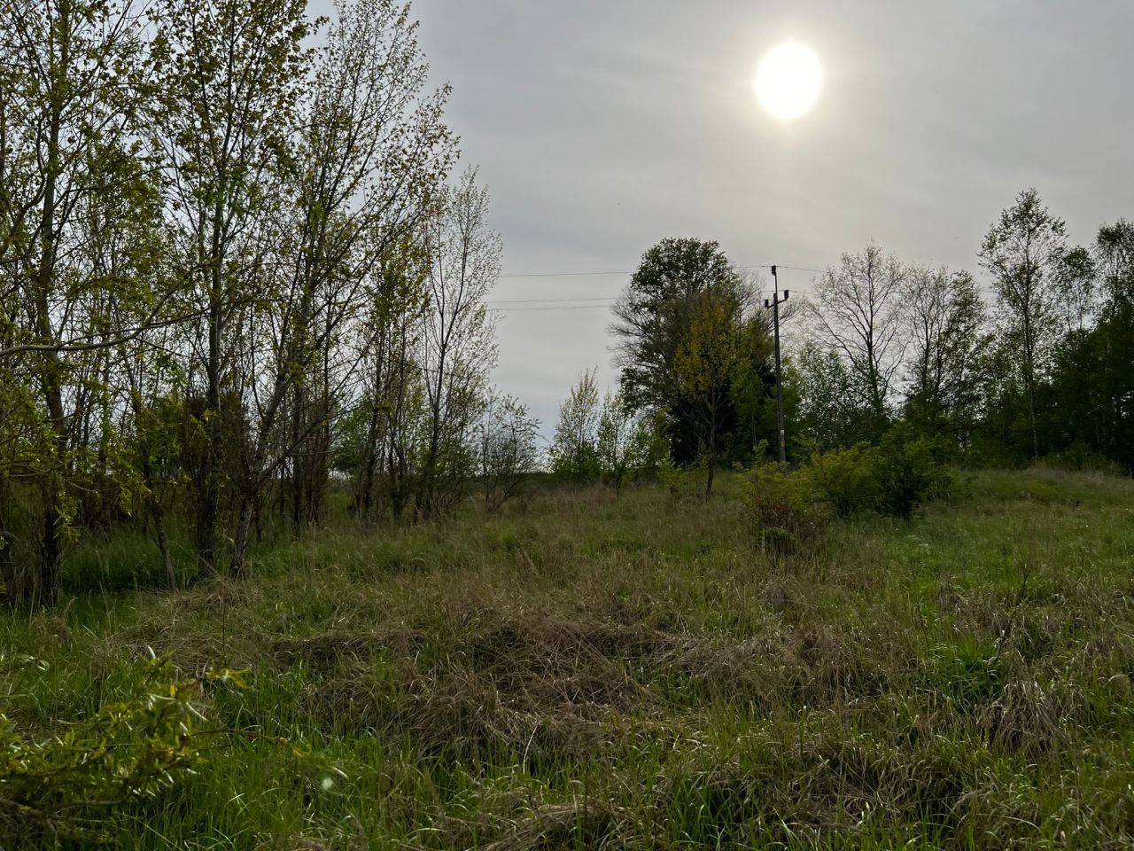 Działka rolna Kolsko, Kolsko. Zdjęcie 8