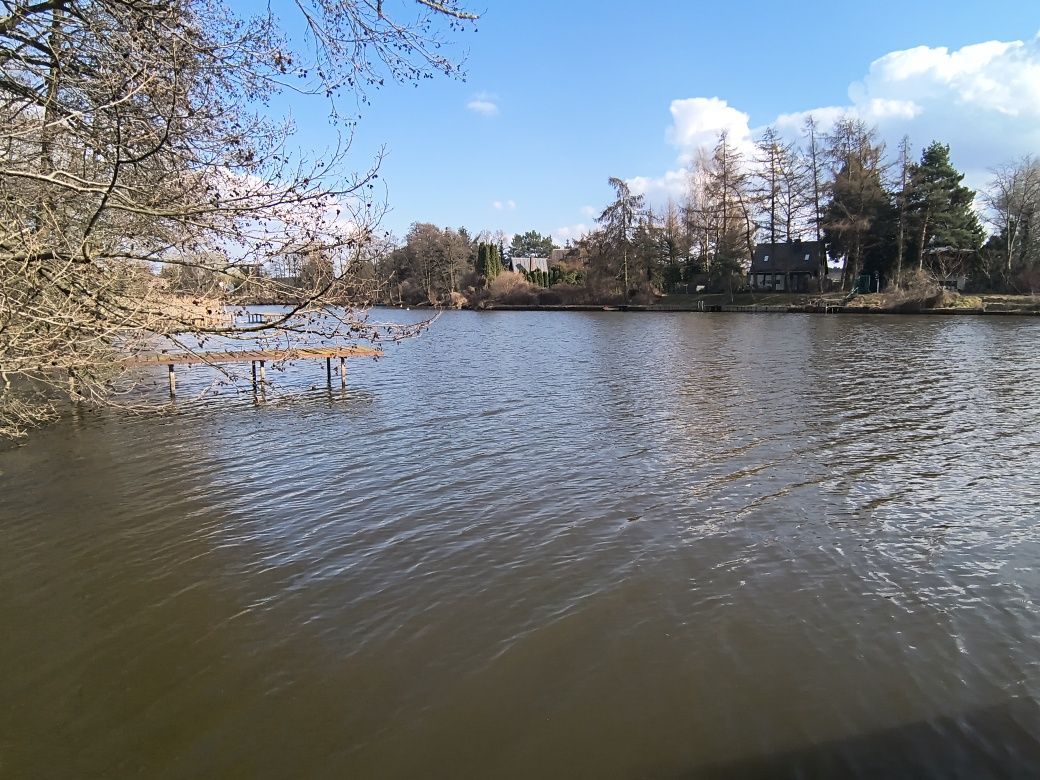 Działka rekreacyjna Pogorzelec. Zdjęcie 5