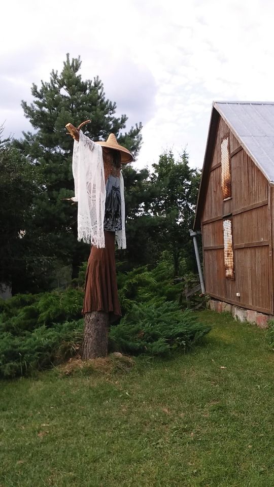 Działka inna Wólka, Wólka. Zdjęcie 20