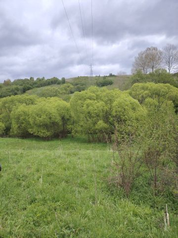 Działka rolna Olchowiec. Zdjęcie 1