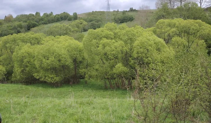 Działka rolna Olchowiec