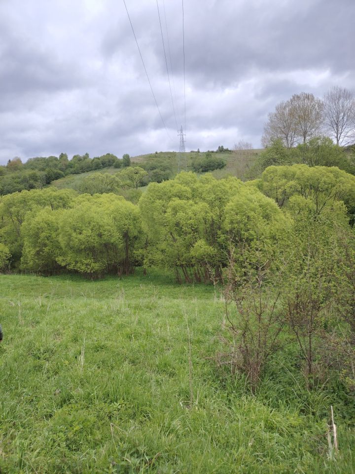 Działka rolna Olchowiec