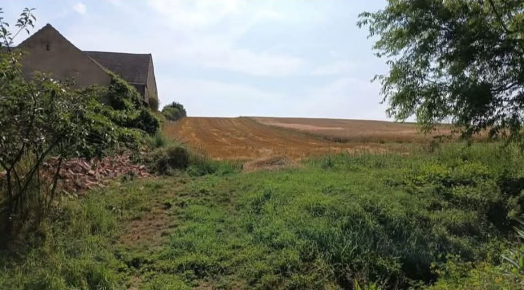 Działka rolno-budowlana Rożniątów, ul. Wolności