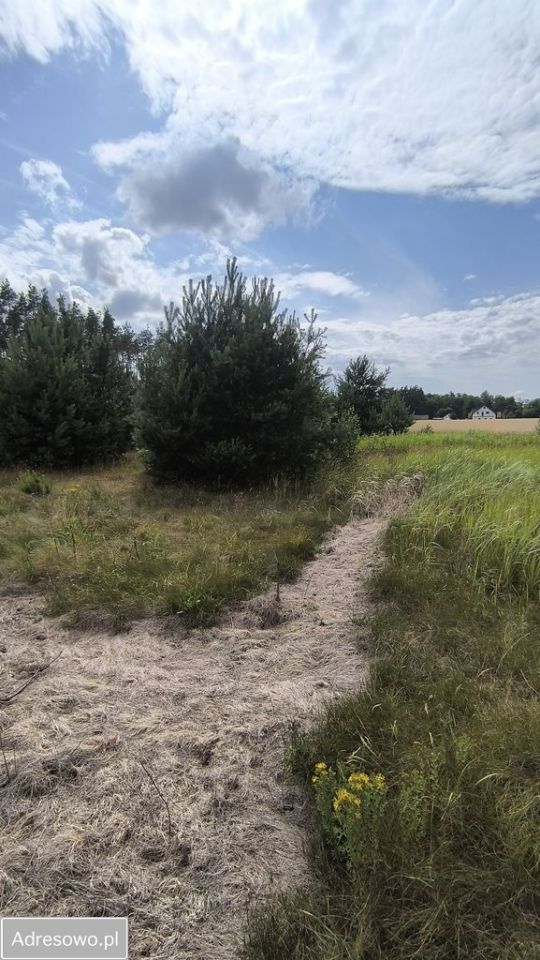 Działka rolno-budowlana Miękoszyn. Zdjęcie 2