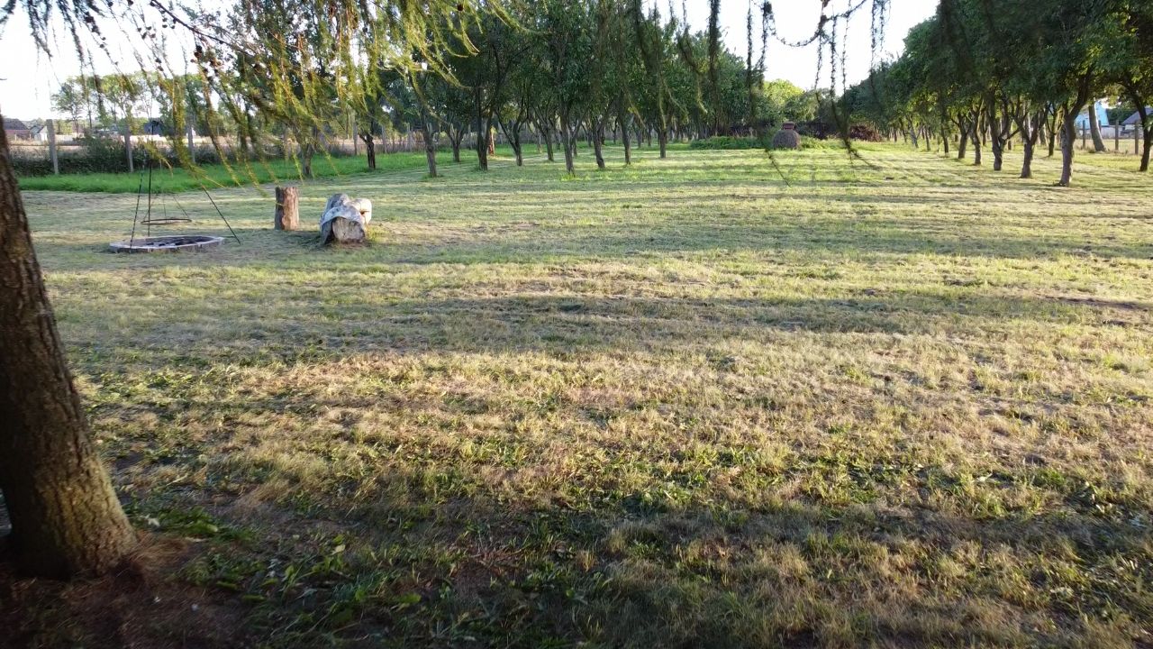 Działka rolno-budowlana Jarszewo. Zdjęcie 9