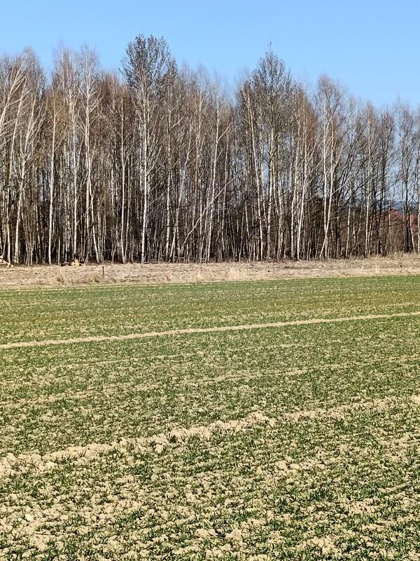 Działka budowlana Świerzowa Polska. Zdjęcie 11