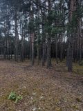 Działka budowlana Pszczółki. Zdjęcie 1