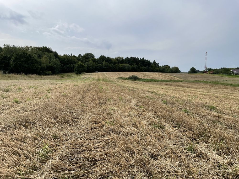 Działka rolna Kukinia. Zdjęcie 3