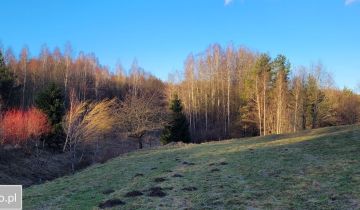 Działka rolno-budowlana Michalin