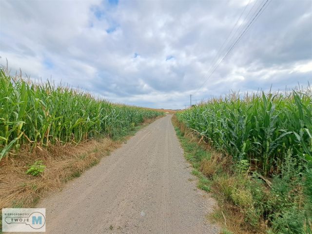 siedlisko, 2 pokoje Ożarów. Zdjęcie 15