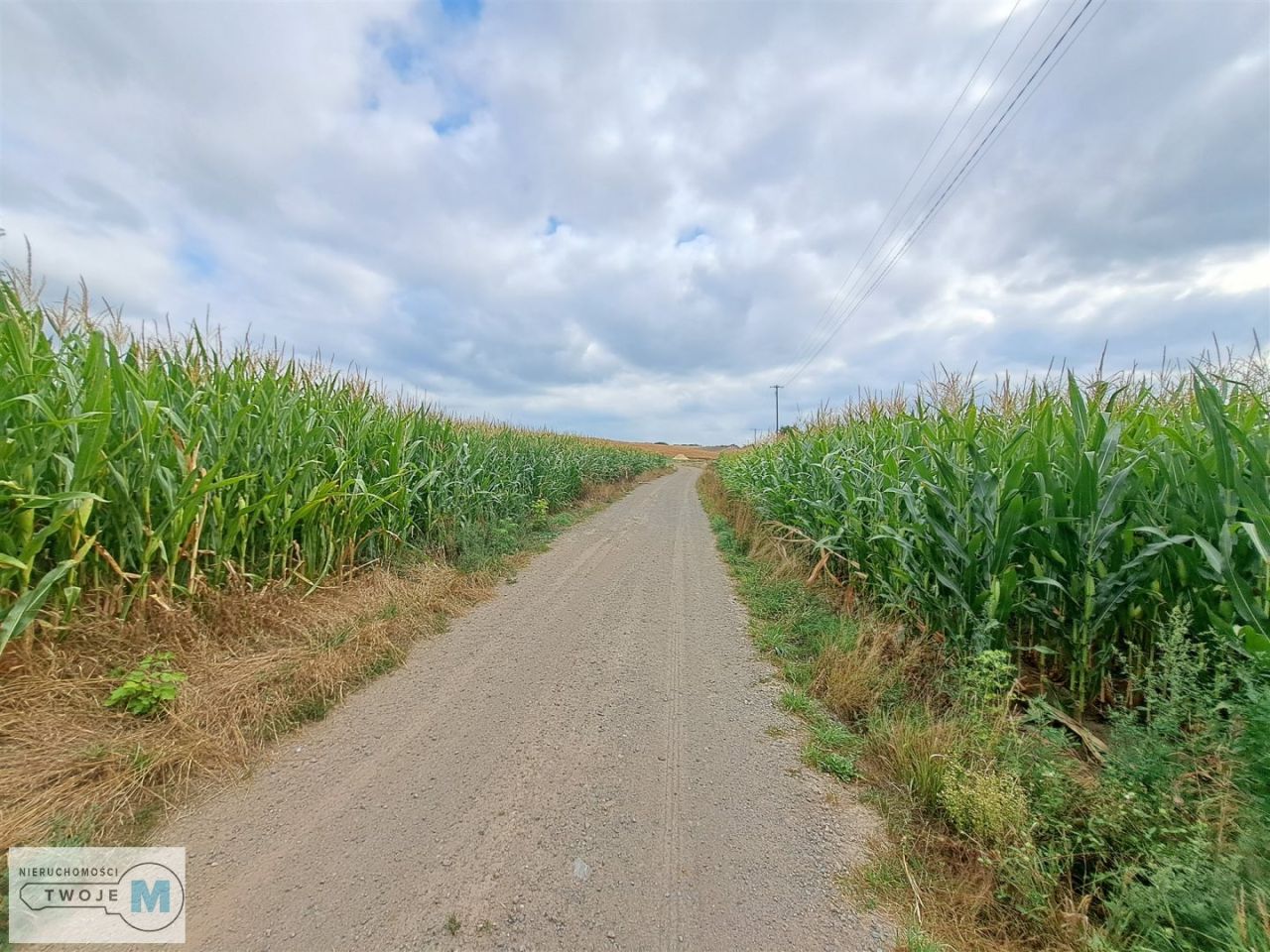 siedlisko, 2 pokoje Ożarów. Zdjęcie 15