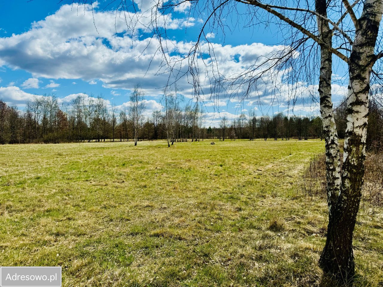 Działka Gać. Zdjęcie 6