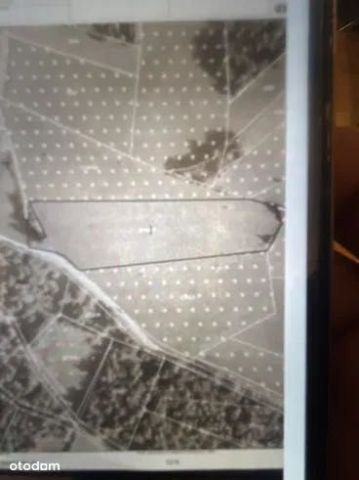 Działka rolna Rdzawka. Zdjęcie 1