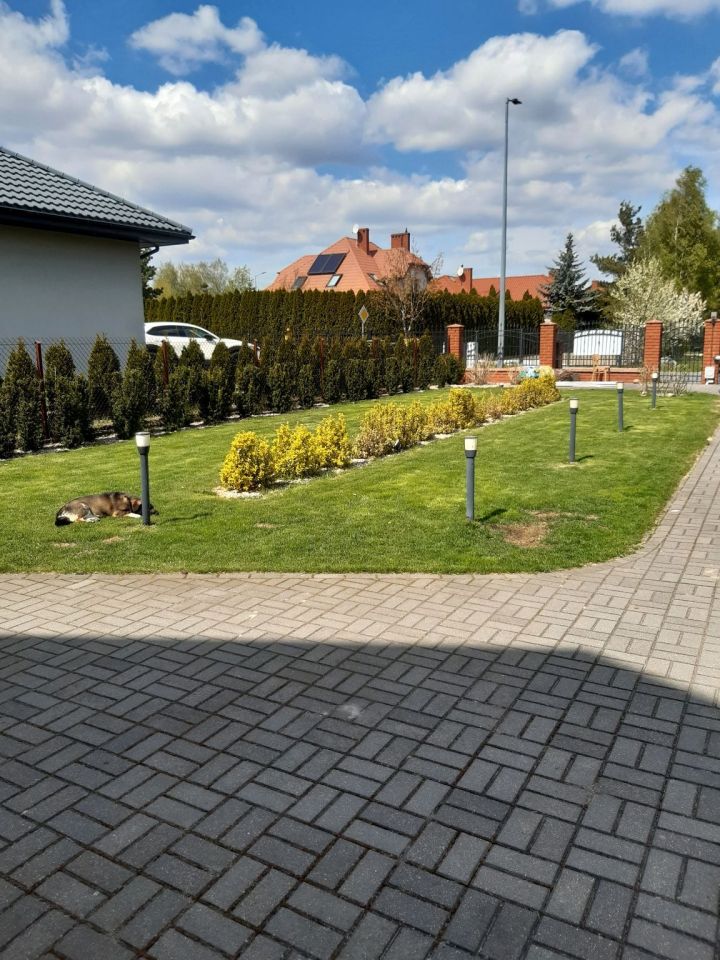dom wolnostojący, 5 pokoi Lubartów, ul. Bolesława Chrobrego. Zdjęcie 5