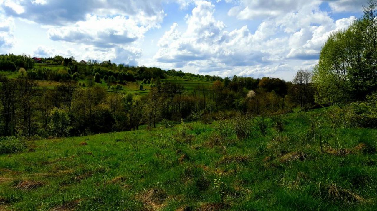 Działka budowlana Sułów. Zdjęcie 3