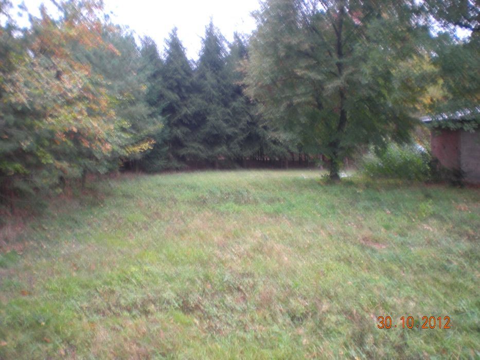 siedlisko Sieroszewo. Zdjęcie 3