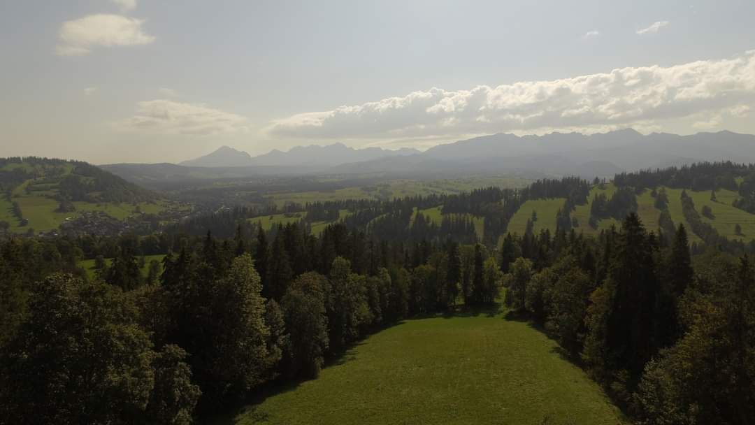 Działka rolna Suche. Zdjęcie 7