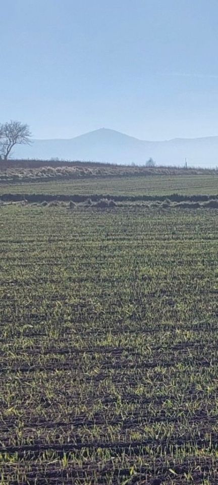 Działka budowlana Łomnica. Zdjęcie 4