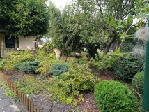 Działka rod Bytom Szombierki, ul. Zabrzańska. Zdjęcie 4